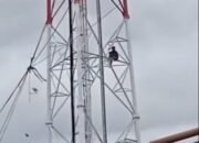 Bikin Sport Jantung, Pria Gangguan Mental di Palembang Panjat Tower Telekomunikasi