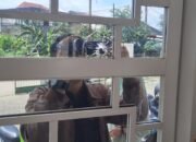 Kaca Masjid Ash Shomad Soak Simpur Palembang Pecah Diduga Diteror OTD