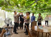 Dukung Ketahanan Pangan, Polsek Tanjung Batu Tinjau Sentra Tanaman Anggur Hingga Penggemukan Sapi di Desa Burai