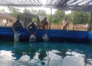 Ternak Ikan di Pekarangan, Polsek Tanjung Batu Dukung Ketahanan Pangan Prgram Presiden RI