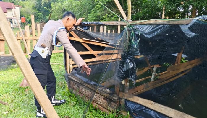Tidak Ada Kata Libur, Anggota Polsek Tanjung Batu Rutin Cek Perkembangan Budidaya Ikan di Pekarangan