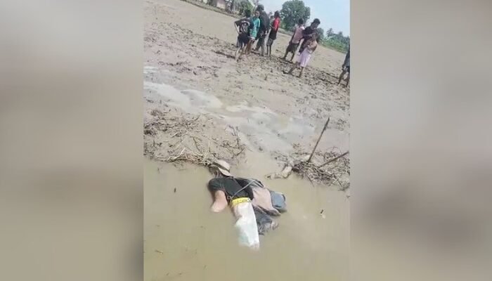 Pencari Belut di Gandus Palembang Tewas Ditengah Sawah Usai Kena Setrum