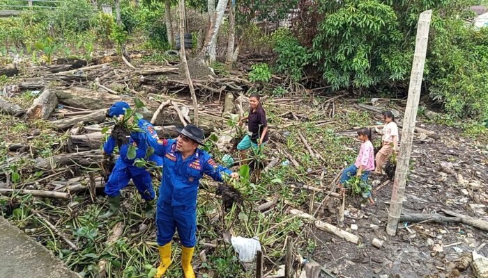 Inovasi Anggota Polairud Pos Pangkalan Sandar Upang Sulap Akar Eceng Gondok Jadi Pupuk Kompos
