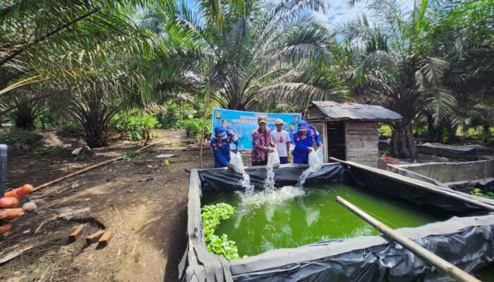 Dukung Program Ketahanan Pangan, Ditpolairud Polda Sumsel Bantu 20 Ribu Ekor Bibit Ikan Lele Kepada Warga Tirto Raharjo