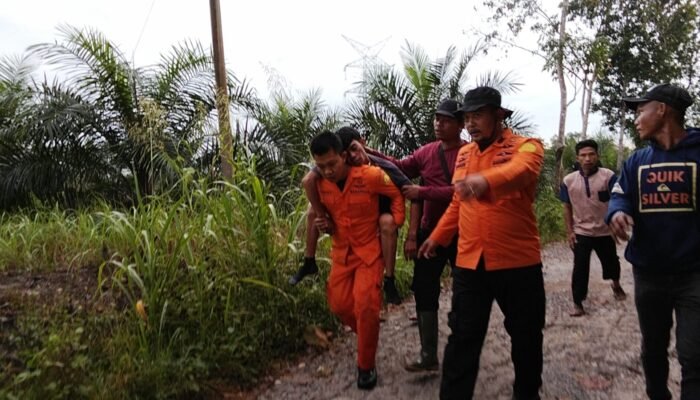 Karyawan PT UMKJP Hilang Misterius di Hutan Banyuasin Berhasil Ditemukan Selamat