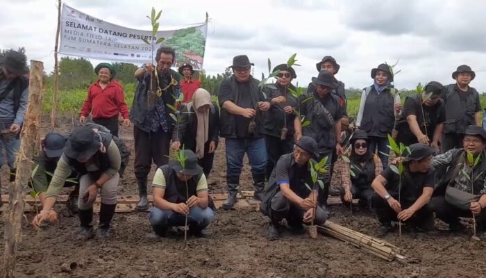 Wujud Nyata SKK Migas – KKKS dan Awak Media Lestarikan Hutan Mangrove di Desa Sungsang