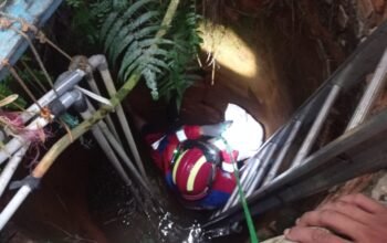 Detik detik Damkar Selamatkan Kucing Tercebur ke Sumur Sedalam 8 Meter di Kalidoni Palembang