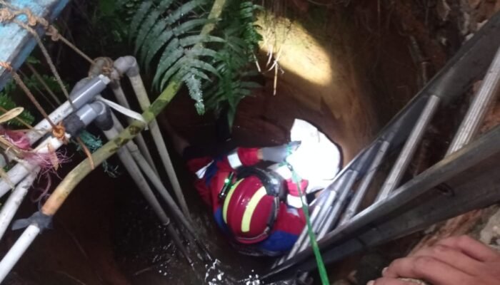 Detik detik Damkar Selamatkan Kucing Tercebur ke Sumur Sedalam 8 Meter di Kalidoni Palembang