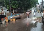 Pohon Tua di Jalan Kapten Marzuki Palembang Roboh Timpa Motor Yamaha Vixion