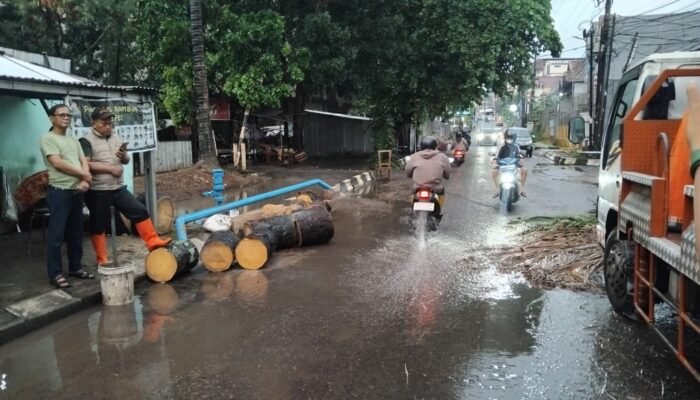 Pohon Tua di Jalan Kapten Marzuki Palembang Roboh Timpa Motor Yamaha Vixion