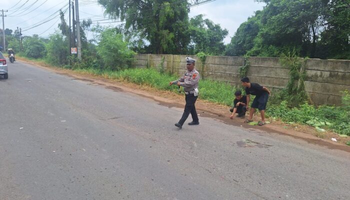 Lakalantas di Tanjung Barangan Palembang, Pemotor Tabrak Truk Usai Gagal Menyalib Hingga Kritis