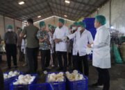 Dorong Hilirisasi, Kabarantin Tinjau Pabrik Santan Guna Pastikan Kesehatan dan Keamanan Produk