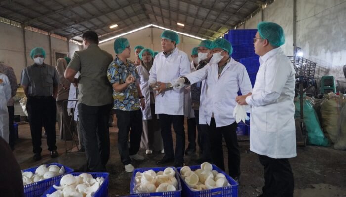 Dorong Hilirisasi, Kabarantin Tinjau Pabrik Santan Guna Pastikan Kesehatan dan Keamanan Produk