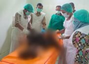 Polda Sumsel Selidiki Penemuan Tulang Belulang Manusia di Kebun Pisang OKU Selatan