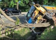 Stir Tiba tiba Mengeras, Truk Batubata Ringsek Usai Tabrak Tiang Listrik dan Pohon di Jalan Soekarno Hatta Palembang