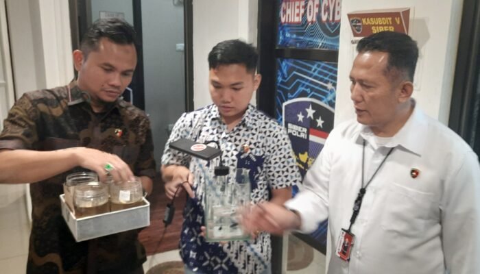 Pratek Judi Adu Ikan Cupang di Prabumulih Dibongkar, Polda Sumsel Amankan Pasutri