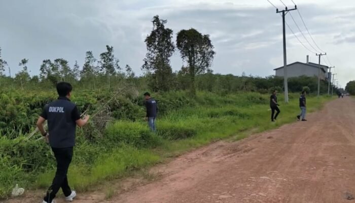 Tiga Hari Sisir Dua Lokasi di Banyuasin, Jasad Christina Korban Penculikan dan Pencurian Belum Ditemukan
