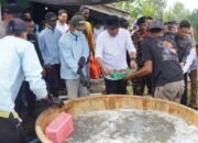 Penuhi Standar, Udang OKI Tembus Pasar Jepang, Barantin Sumsel Dukung Perkuat Ekosistem Daerah