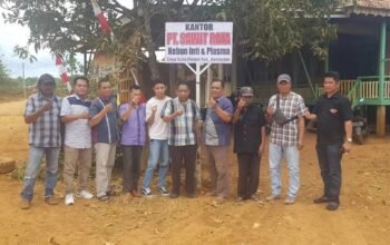 Dugaan Penyerobotan Lahan Sawit di Banyuasin, PT Sawit Raya Alami Kerugian Hingga Rp 2 Triliun