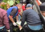 Bus PO Al-Hijrah Masuk Jurang di Lintas Sumatera Lahat, 1 Tewas