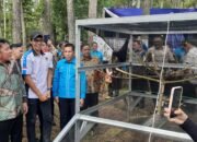 Aksi Nyata Jaga Alam, IKA SKMA Sumsel Lepas Ratusan Burung dan Benih Ikan di Hutan Punti Kayu