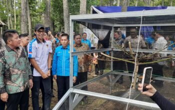 Aksi Nyata Jaga Alam, IKA SKMA Sumsel Lepas Ratusan Burung dan Benih Ikan di Hutan Punti Kayu