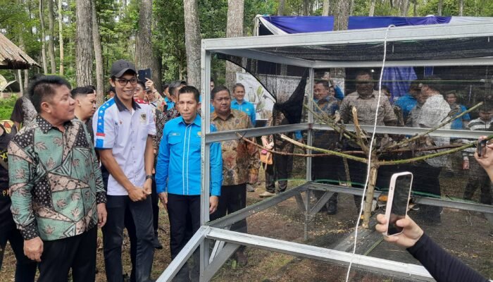 Aksi Nyata Jaga Alam, IKA SKMA Sumsel Lepas Ratusan Burung dan Benih Ikan di Hutan Punti Kayu