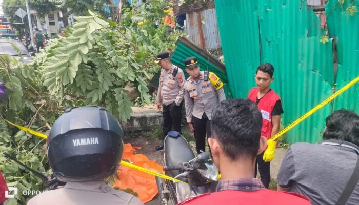 Pengemudi Ojol Tewas Ditimpa Pohon Tumbang Saat Melintas di Jalan Kapten A Rivai Palembang