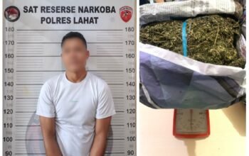 Numpang Mobil Angkot Bawa 1 Kilogram Ganja, Pria di Lahat Dicokok Polisi