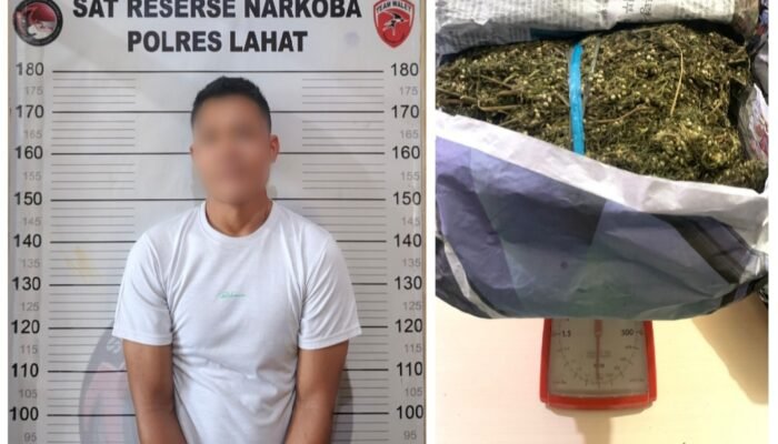 Numpang Mobil Angkot Bawa 1 Kilogram Ganja, Pria di Lahat Dicokok Polisi