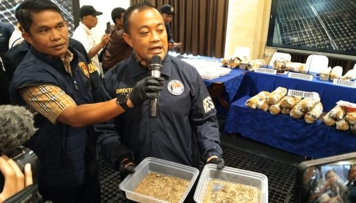 Fakta Baru Pengungkapan 20 Hektar Ladang Ganja di Empat Lawang, Polisi Temukan Bibit Hingga Lahan Penyemaian