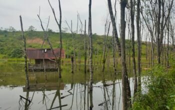 Dinas LHP Didesak Usut PROPER Merah PT Bumi Merapi Energi, Terkait Lingkungan dan Reklamasi Paskatambang