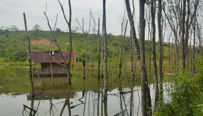 Dinas LHP Didesak Usut PROPER Merah PT Bumi Merapi Energi, Terkait Lingkungan dan Reklamasi Paskatambang