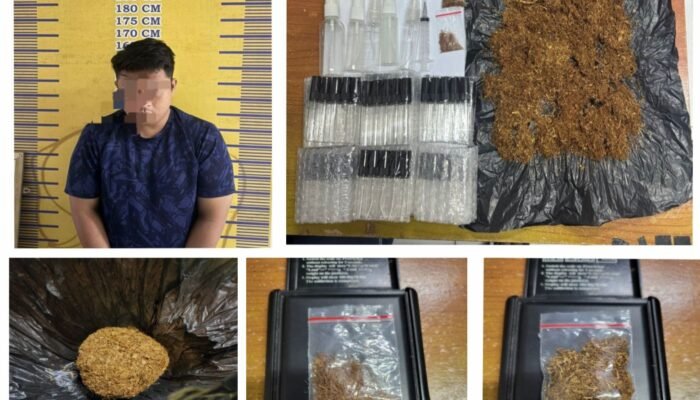 Dua Bulan Edarkan Tembakau Gorila Warga OKU Timur Diringkus Polisi, Sasar Mahasiswa