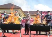 Kapolda Sumsel Musnahkan 200 Kilogram Ganja Kering Hasil Ungkap Kasus Ladang Ganja di Empat Lawang