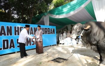 Idul Adha 1447 Hijriah, Polda Sumsel Salurkan 579 Sapi dan Kambing ke Berbagai Wilayah di Sumsel