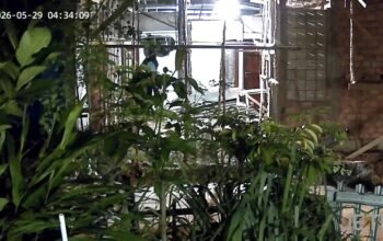 Sudah Empat Kali Maling Satroni Rumah Warga di Perumahan PNS Pemkot Gandus yang Sedang Direnovasi