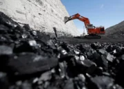Dihantam Sanksi KLH, Putra Muba Coal dan Tiga Daya Minergy Terancam Tamat