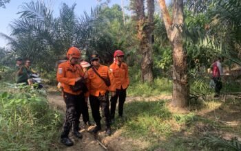 Pria Lansia di Musi Rawas Hilang Misterius Usai Pamit Ke Kebun, Tim SAR Gabungan Lakukan Pencarian