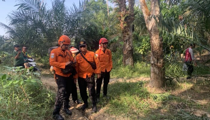 Pria Lansia di Musi Rawas Hilang Misterius Usai Pamit Ke Kebun, Tim SAR Gabungan Lakukan Pencarian