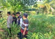 Tinggalkan Surat Wasiat, Pria Paruh Baya di Palembang Nekat Gandir Dipohon Kapuk