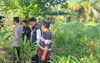 Tinggalkan Surat Wasiat, Pria Paruh Baya di Palembang Nekat Gandir Dipohon Kapuk