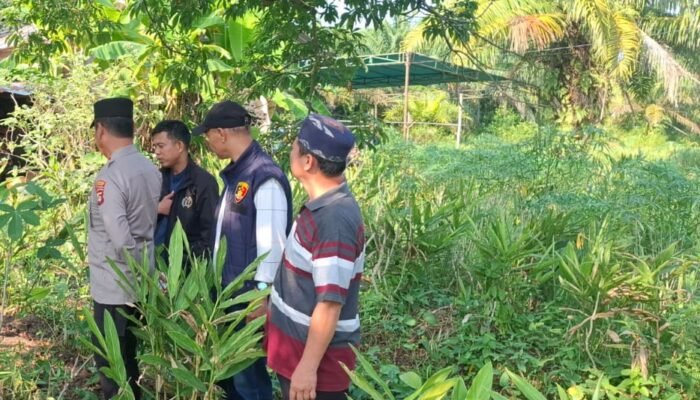 Tinggalkan Surat Wasiat, Pria Paruh Baya di Palembang Nekat Gandir Dipohon Kapuk