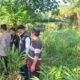 Tinggalkan Surat Wasiat, Pria Paruh Baya di Palembang Nekat Gandir Dipohon Kapuk