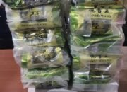 Belum Sampai Ke Lombok, Dua Kurir Sabu 10 Kilogram Asal Aceh Ditangkap di Palembang