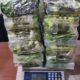 Belum Sampai Ke Lombok, Dua Kurir Sabu 10 Kilogram Asal Aceh Ditangkap di Palembang