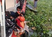 Jatuh ke Sungai Musi, ABK Putra Kelana Ditemukan Tewas Mengapung