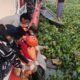 Jatuh ke Sungai Musi, ABK Putra Kelana Ditemukan Tewas Mengapung