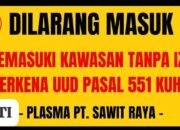 Warning Mafia Tanah Agar Segera Tinggalkan Lahan PT Sawit Raya Atau Berhadapan dengan Hukum