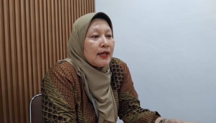 Imbas Dokter Tamara Jasmine Hina Pasien BPJS, Rating RS Pusri Anjlok